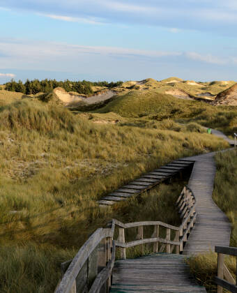 Ideell base for å utforske Vadehavets nasjonalpark og øyene Föhr, Amrum og Sylt.