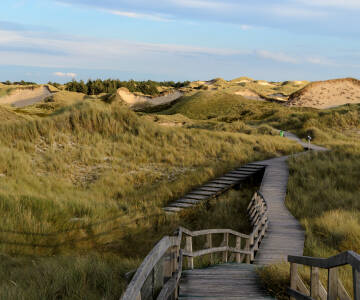 Ideell base for å utforske Vadehavets nasjonalpark og øyene Föhr, Amrum og Sylt.