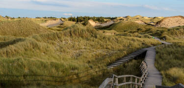 Idealer Ausgangspunkt für Ausflüge in den Nationalpark Wattenmeer und zu den Inseln Föhr, Amrum und Sylt.