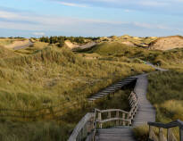 Ideal base for exploring the Wadden Sea National Park and the islands of Föhr, Amrum and Sylt.