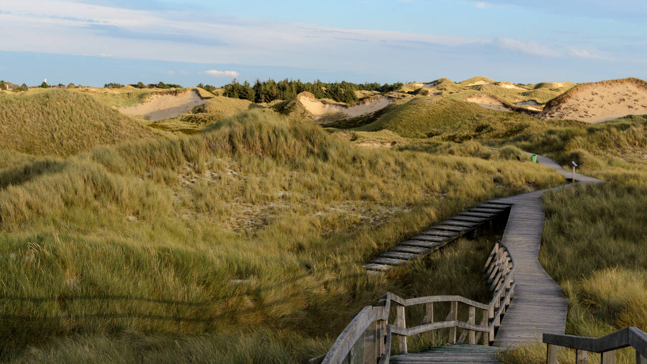 Ideell base for å utforske Vadehavets nasjonalpark og øyene Föhr, Amrum og Sylt.