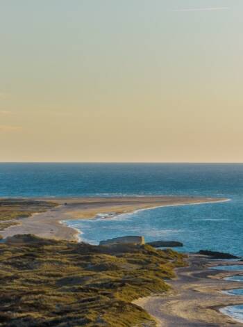 Upptäck Nordjyllands höjdpunkter med en enkel dagstur till den charmiga staden Skagen.