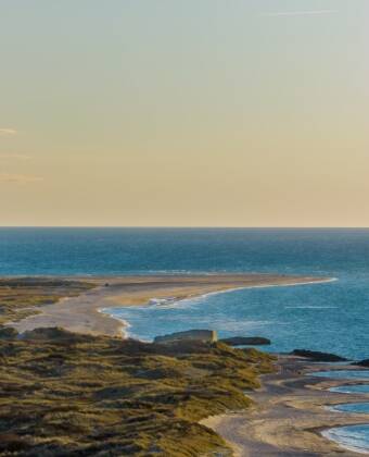 Utforsk Nordjyllands høydepunkter med en enkel dagstur til den sjarmerende byen Skagen.