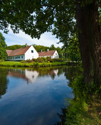 Besøk den nærliggende Bangsbo botaniske hage og nyt parkens fredelige stier og historiske omgivelser.