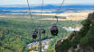 Enjoy the view with a cable car ride in Thale.