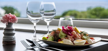 Hotell Hovs Hallar