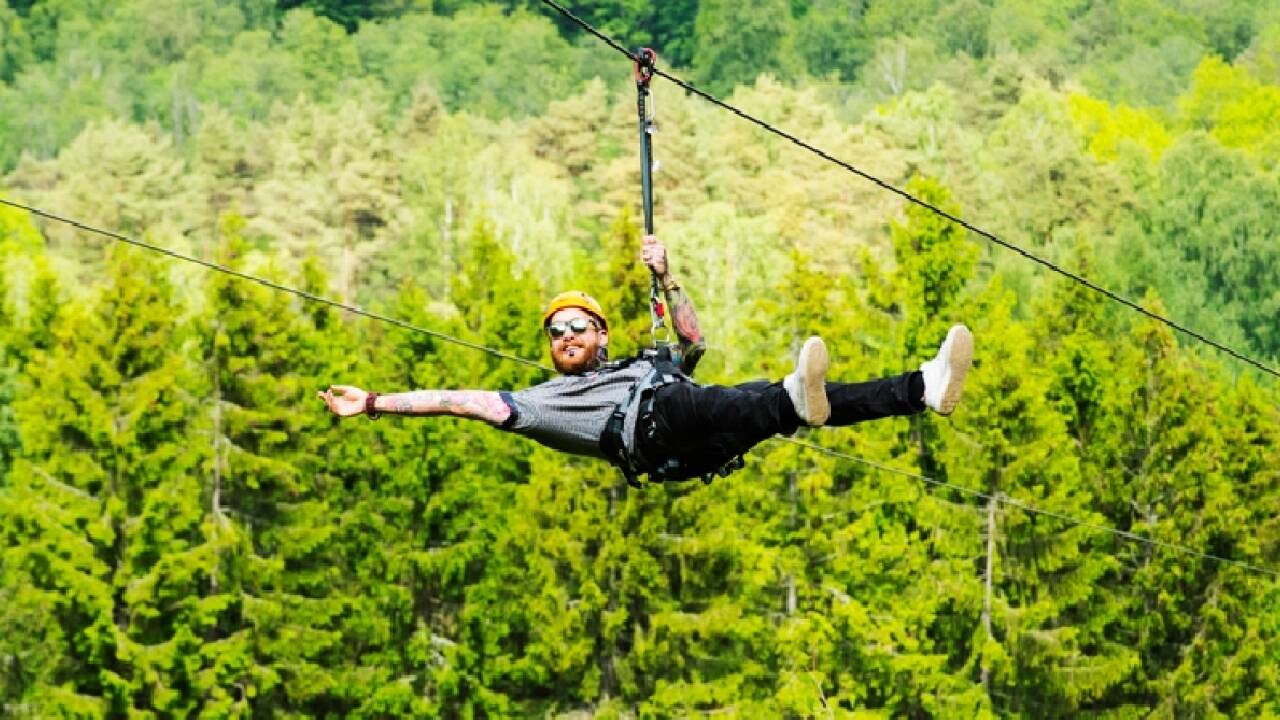Kungsbygget Adventurepark kan give et adrenalinsus til de modige der tør!