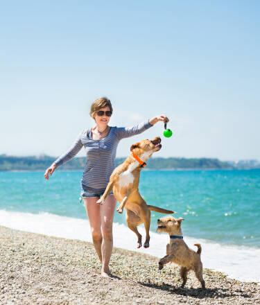 Hunde sind willkommen und ein Hundestrand befindet sich in der Nähe.