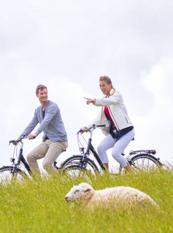 Utomhusentusiaster kan åka på båtturer, cykla och utforska den närliggande nationalparken.