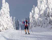 Fichtelberg er det bedste valg for skiløbere.