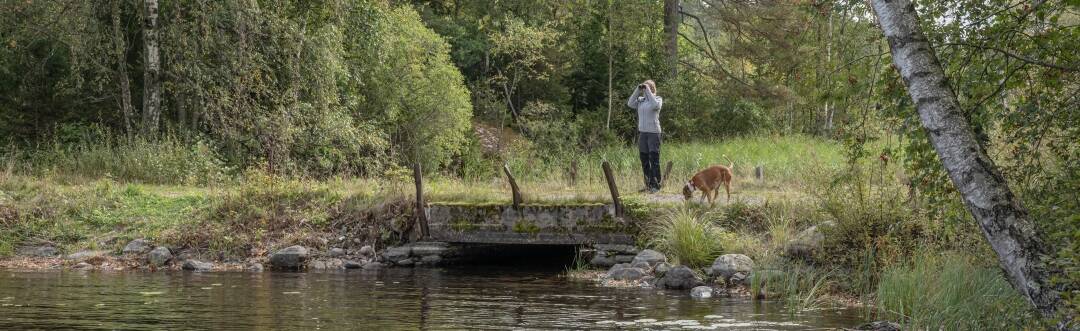 Der er også skønne vandreruter i omegnen.