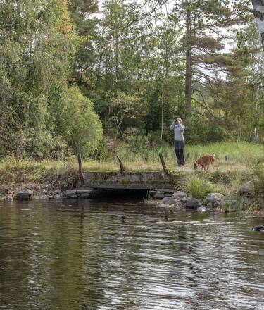 Es gibt auch schöne Wanderwege in der Umgebung. - perfekt für einen herrlichen Wanderurlaub.