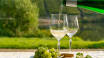 Rheinland-Pfalz ist für tolle Weine bekannt – probieren Sie sie selbst!