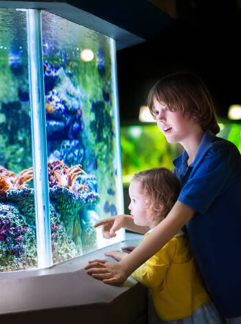 The hotel is right next to the House of the Sea - a saltwater aquarium that is a popular destination for the whole family.