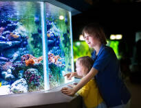 The hotel is right next to the House of the Sea - a saltwater aquarium that is a popular destination for the whole family.