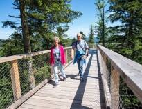 A very special nature experience awaits you among the treetops of the Harz Tree Top Trail