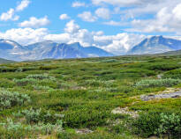 Kongsvold's closest neighbor is Dovrefjell National Park at 900 m above sea level at the top of Drivdalen.