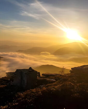 Ob Adrenalin oder entspannte Spaziergänge – hier ist alles möglich. Erleben Sie herausfordernde Wanderungen oder gemütliche Spaziergänge in wunderschöner Umgebung.
