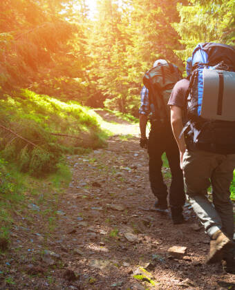 Machen Sie eine Wanderung in der freundlichen Wildnis des Langsua-Nationalparks.