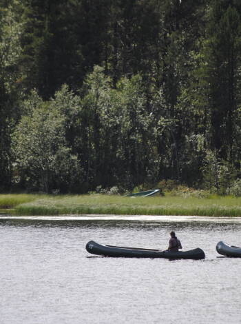 Upplev den vackra naturen genom en paddeltur med kanot eller kajak.