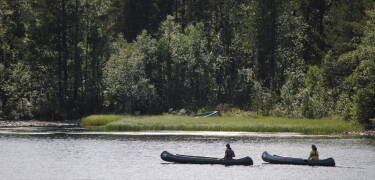 Head out on the lake with a canoe or kayak.