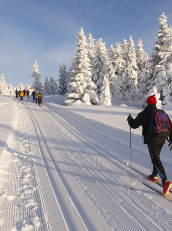 Frisk fjälluft, natursköna vandringsleder och skidäventyr väntar.