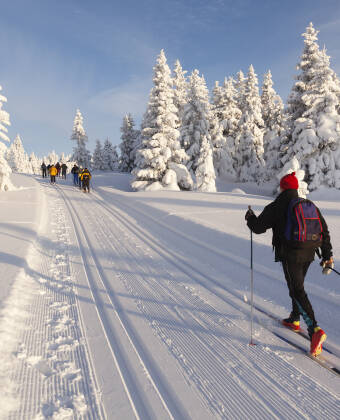 Fresh mountain air and scenic trails just waiting for hikes or ski adventures.