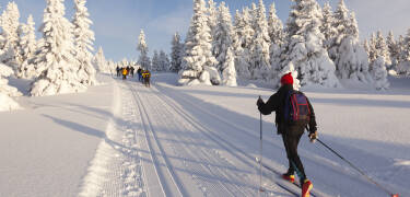 Fresh mountain air and scenic trails just waiting for hikes or ski adventures.