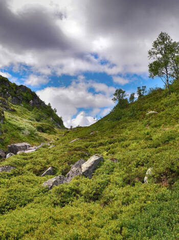 In summer, head out and explore the hiking trails that start right outside the hotel