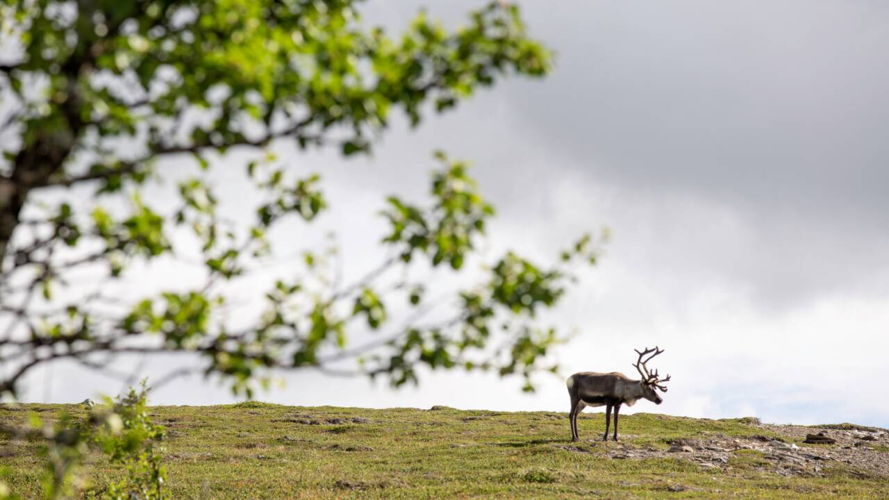 Marvel at the rich and varied wildlife around the hotel