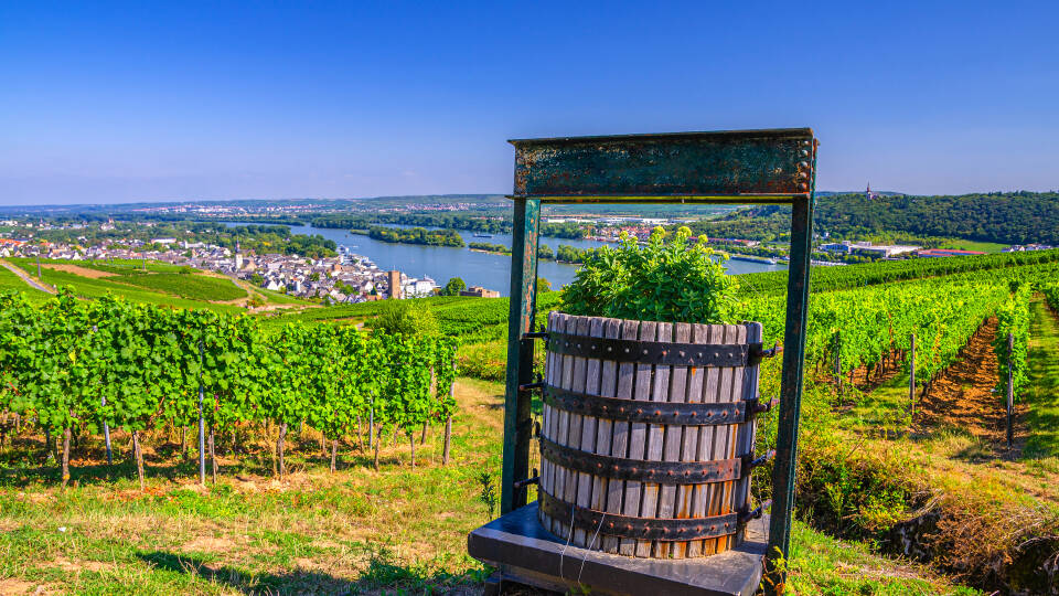 Regionen er kendt for sine udsøgte vine, og mange af områdets vingårde tilbyder smagninger og guidede ture.
