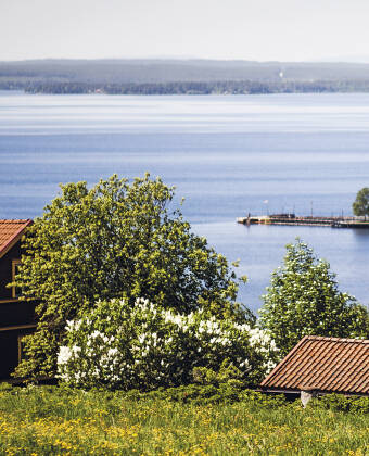 Från hotellet bjuds ni på en fin utsikt över Siljan där ni kan njuta av sol och bad under somrarna.