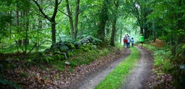 Området har flere vandreruter på mellom 2,5 og 10 km., som går gjennom en gammel skog og Klippans naturreservat.