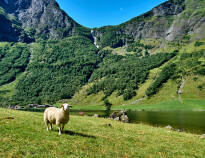 Explore the Nærøyfjord, part of the UNESCO World Heritage.