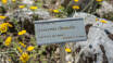 Besøg den smukke alpine botaniske have, Viote Natural Park, som ligger i kort afstand af hotellet.