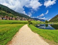 Explore the stunning nature of Val di Sole. The stay includes two guided hikes per week.