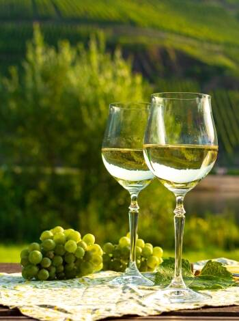 Explore the beautiful wine region with hiking or cycling tours, and taste the delicious grapes.