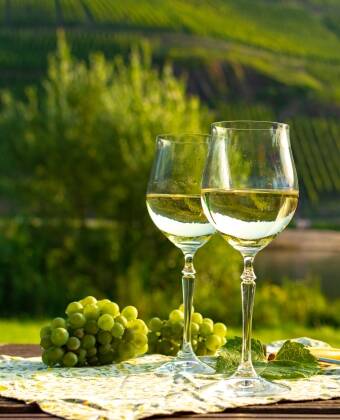 Erkunden Sie die wunderschöne Weinregion bei Wander- oder Radtouren und probieren Sie die köstlichen Trauben.