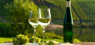 Erkunden Sie die wunderschöne Weinregion bei Wander- oder Radtouren und probieren Sie die köstlichen Trauben.