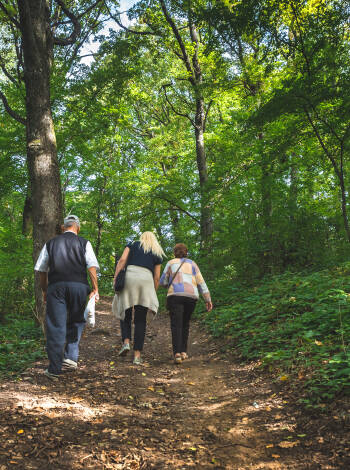 Relax with a walk in the green lungs of Berlin: the "Neuen Wiesen" park.