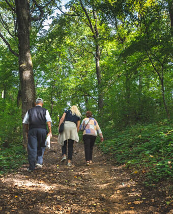 Entspannen Sie sich bei einem Spaziergang in Berlins grüner Lunge: dem Park "Neue Wiesen".