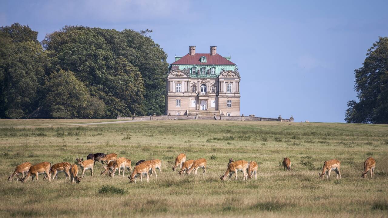 Erleben Sie das Eremitage-Schloss, das zum UNESCO-Weltkulturerbe gehört.