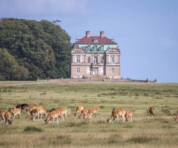 Upplev Eremitageslottet, som är ett UNESCO-världsarv.