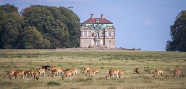 Erleben Sie das Eremitage-Schloss, das zum UNESCO-Weltkulturerbe gehört.