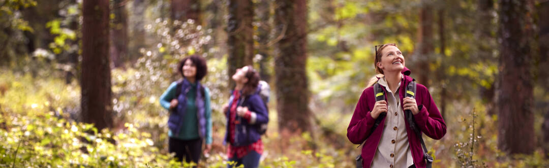 You'll find a wide range of hiking and cycling trails around Reinbek - perfect for an active holiday.