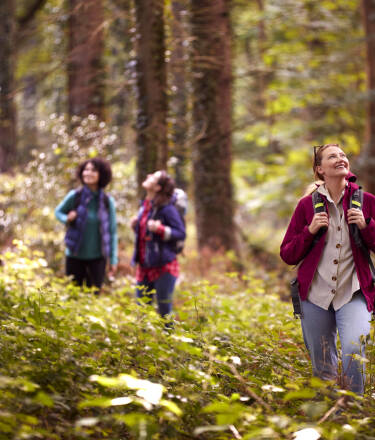 You'll find a wide range of hiking and cycling trails around Reinbek - perfect for an active holiday.