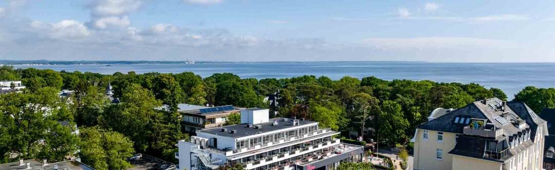 The Flamingo