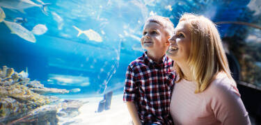 Udforsk Scheveningens livlige promenade med butikker, caféer og SEA LIFE Aquarium.