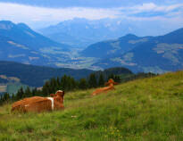 Hotellet har en rolig beliggenhet i den idylliske alperegionen Tyrol.