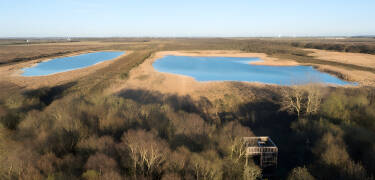 Not far from Aalborg you will find Store Vildmose, where you can experience animals and beautiful landscapes.